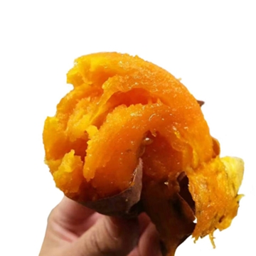 烟25新鲜红薯沙地蜜薯香薯黄心地瓜小番薯5斤