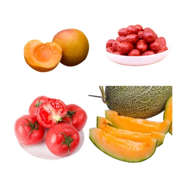 新疆特产哈密瓜2只（6-7斤）+西红柿12只（约5斤）+小红杏（约3斤）+特级红枣（3斤）