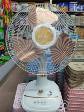 扬子电风扇