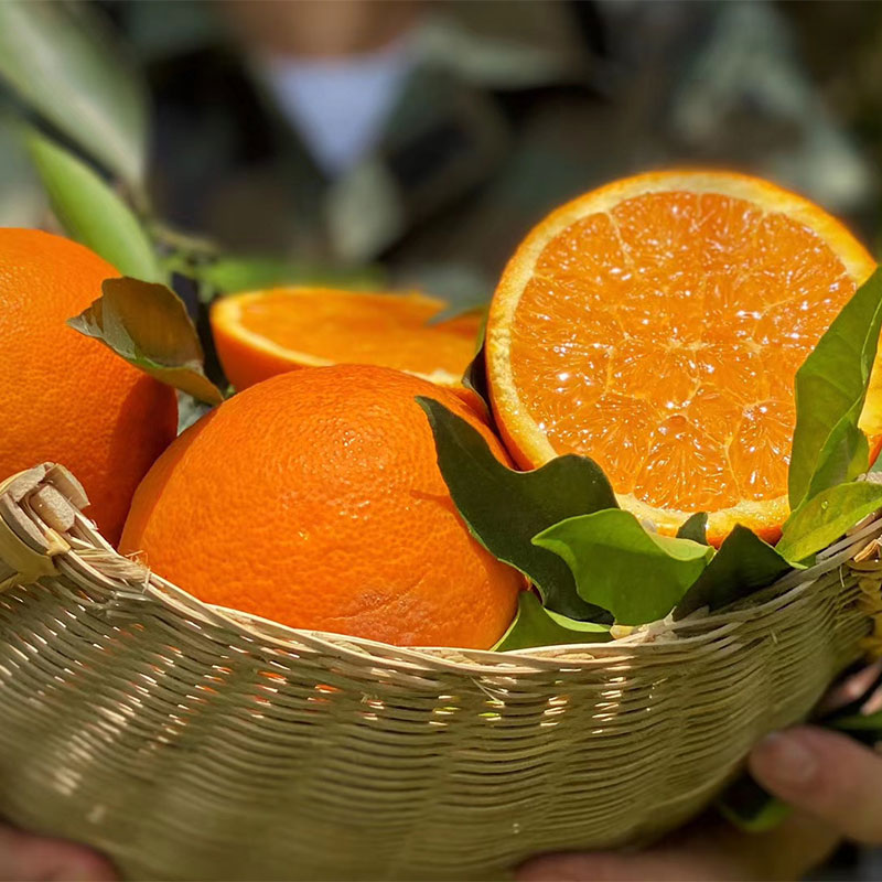 奉节脐橙新鲜应季水果 甜橙子小果65-70mm 1000斤起订