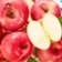 【延安中果果哒哒】陕西延安洛川苹果24枚红富士苹果 产地直发80mm精品果
